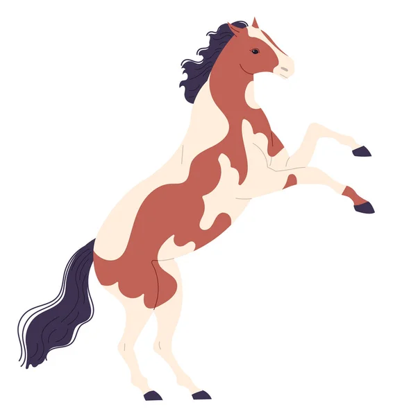 Spotted horse with its front hooves raised high. — Stock Vector