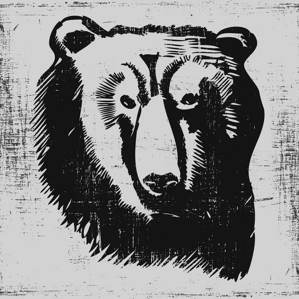 Cabeza de oso dibujado a mano esbozo grunge textura grabado estilo — Archivo Imágenes Vectoriales