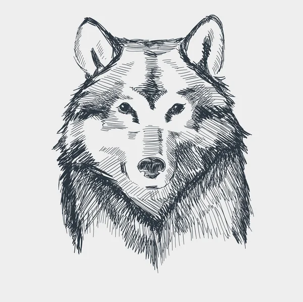 Wolf Head Grunge Hand gezeichnete Skizze Vektor Illustration — Stockvektor