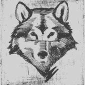Farkas fejét kézzel rajzolt vázlat grunge textúra gravírozás stílus