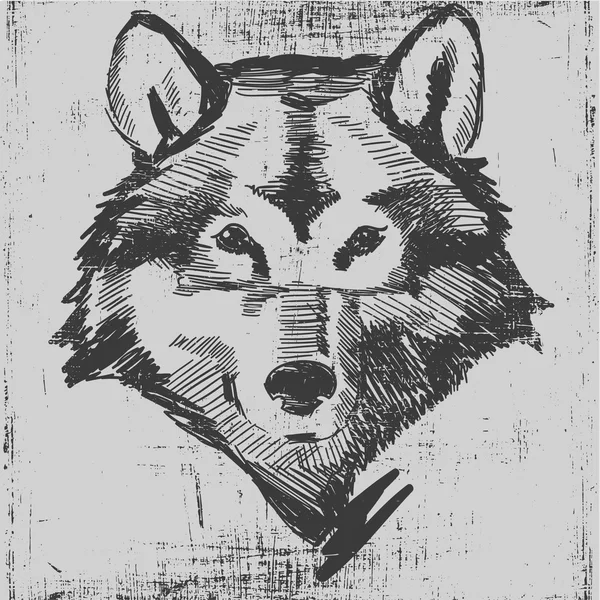 Wolf tête dessinée à la main croquis grunge texture gravure style — Image vectorielle