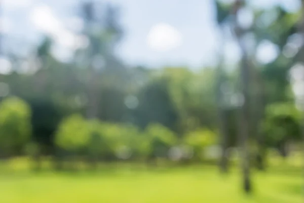 Fundo bio verde fresco com folhagem embaçada abstrata e luz solar de verão brilhante — Fotografia de Stock