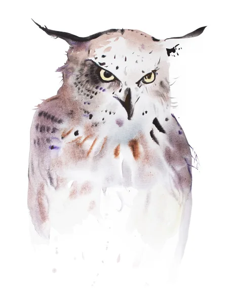 Hand drawn watercolor owl — Stock Photo, Image