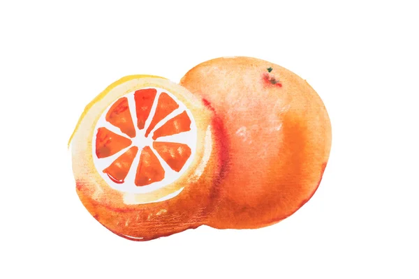 Kézzel rajzolt akvarell narancs — Stock Fotó