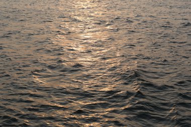 Dalgalar deniz ve gün batımı ışığında.