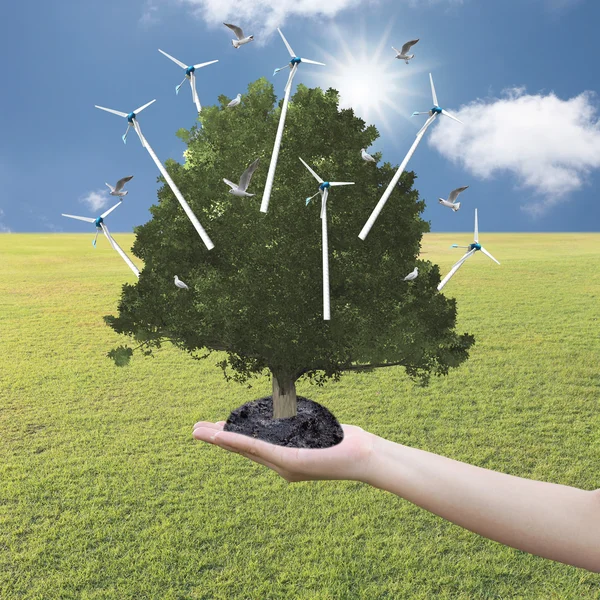 Árbol grande crecido en la mano y tiene turbina eólica en buen tiempo — Foto de Stock