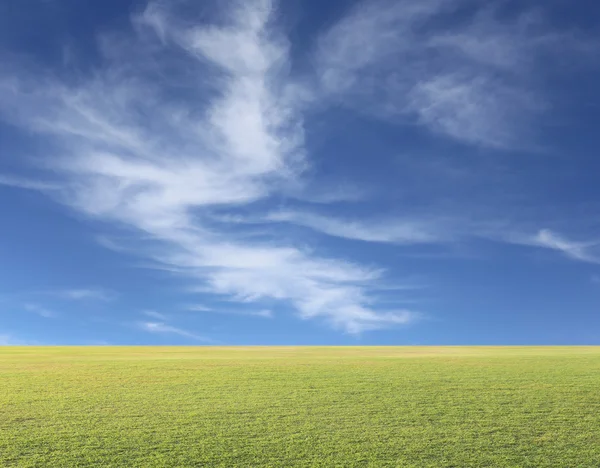 Prato verde in un giorno di cielo blu . — Foto Stock