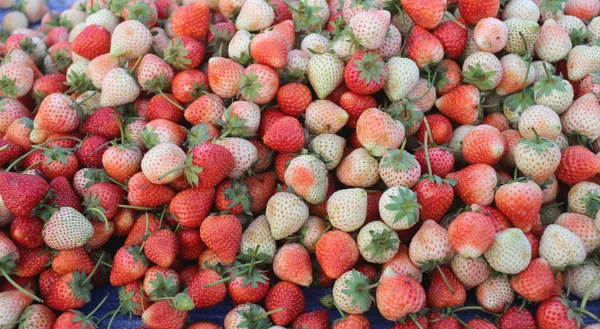 Hög med färska jordgubbar av frukt bakgrund. — Stockfoto