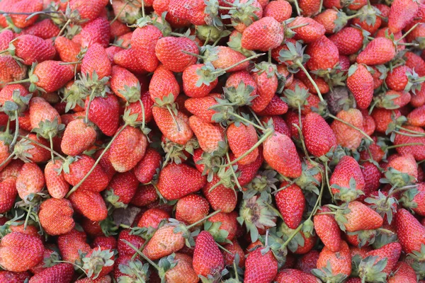 Hög med färska jordgubbar av frukt bakgrund. — Stockfoto