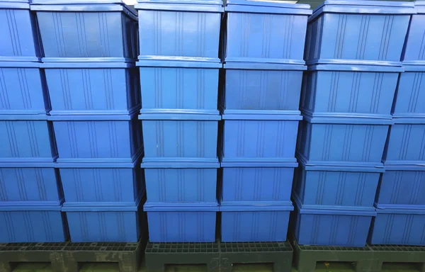 Productos de caja de plástico azul en la sala de fábrica industrial . — Foto de Stock