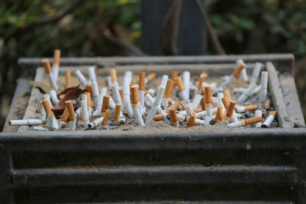 Cigarette stub are dumped in the special utensil. — Stock Photo, Image