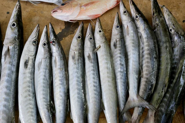 魚釣りの後、夜キャッチ. — ストック写真