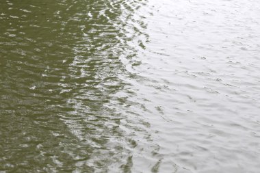 Yüzey su ve dalga dalgalanma var.