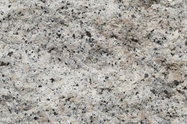 Doku içinde yıpranmış ve doğal yüzeylere sahip eski taş.