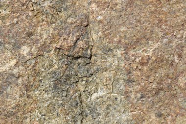 Doku içinde yıpranmış ve doğal yüzeylere sahip eski taş.