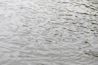 Yüzey su ve dalga dalgalanma var.