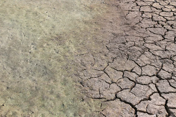 Cracked earth and clay soil with water just to dry up because of — Stock Photo, Image