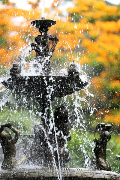 La fontaine dans le jardin et ont des fleurs de paon fleurit . — Photo