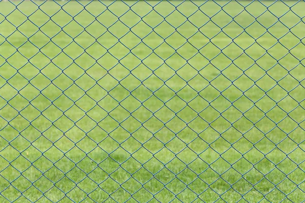 Kafes Tel veya bahçede yeşil çim, kafes çelik. — Stok fotoğraf