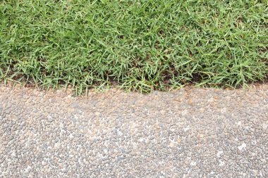 Yeşil çim ile arka bahçesinde bir geçit.