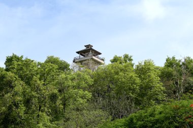 Mavi gökyüzü arka plan üzerinde genel parkta tropikal ağaçlar.