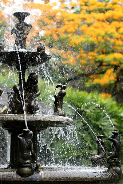 Der Brunnen im Garten mit Pfauenblumen blüht. — Stockfoto