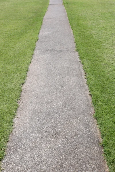 Een passage in de achtertuin met groen gras. — Stockfoto