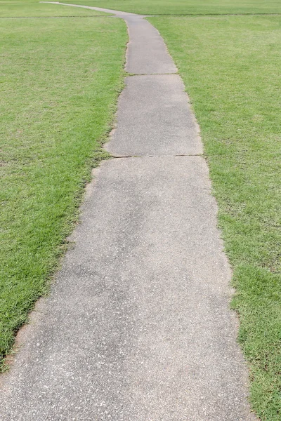 Een passage in de achtertuin met groen gras. — Stockfoto