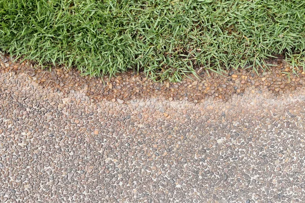 Un pasaje en el patio trasero con hierba verde . — Foto de Stock