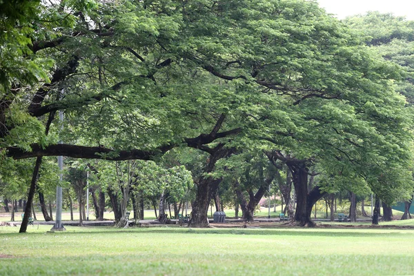 Öffentlicher Park mit grüner Rasenfläche und Perspektive zum Kopieren von Raum — Stockfoto