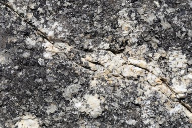 Doku içinde yıpranmış ve doğal yüzeylere sahip eski taş.