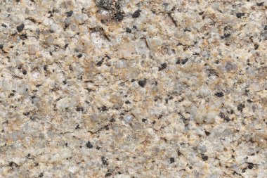 Doku içinde yıpranmış ve doğal yüzeylere sahip eski taş.