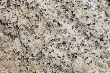 Doku içinde yıpranmış ve doğal yüzeylere sahip eski taş.