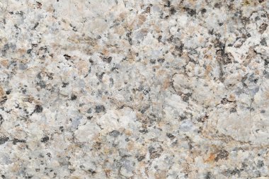 Doku içinde yıpranmış ve doğal yüzeylere sahip eski taş.