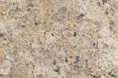 Doku içinde yıpranmış ve doğal yüzeylere sahip eski taş.