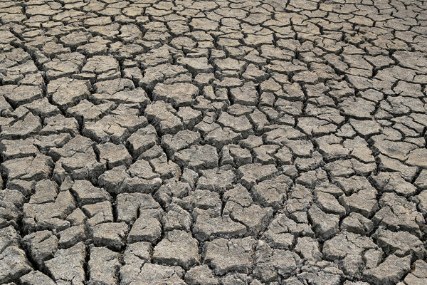 Cracked earth and dry soil texture.