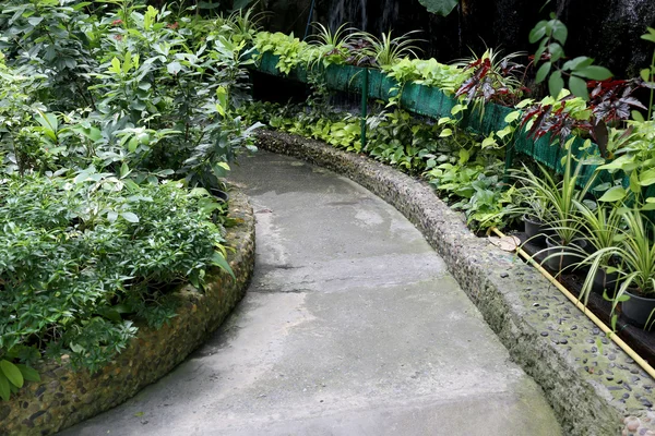 Walkway in the public park of beautiful plant. — Stock Photo, Image