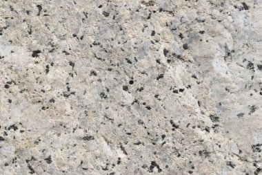 Doku içinde yıpranmış ve doğal yüzeylere sahip eski taş.