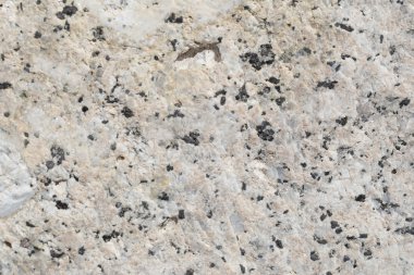 Doku içinde yıpranmış ve doğal yüzeylere sahip eski taş.