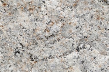 Doku içinde yıpranmış ve doğal yüzeylere sahip eski taş.