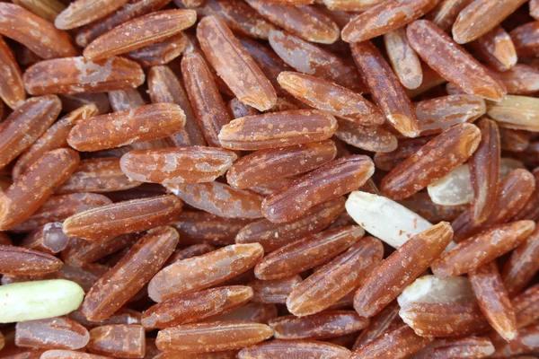 Stapel van biologische bruine rijst voor de achtergrond van het voedsel van de aard, graan — Stockfoto