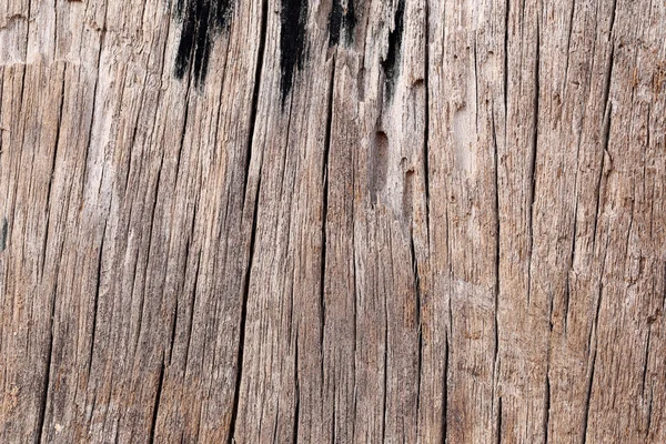 Texture bois ancien. — Photo