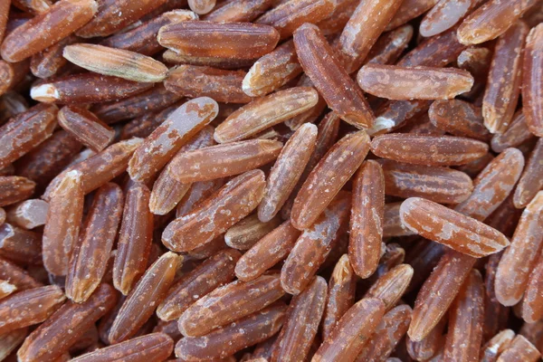 Pile of organic brown rice for the nature food background,grain — Stock Photo, Image