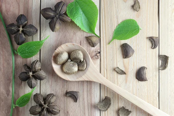 Sacha InChI veya ahşap zemin üzerine Inca fıstık baklagiller.