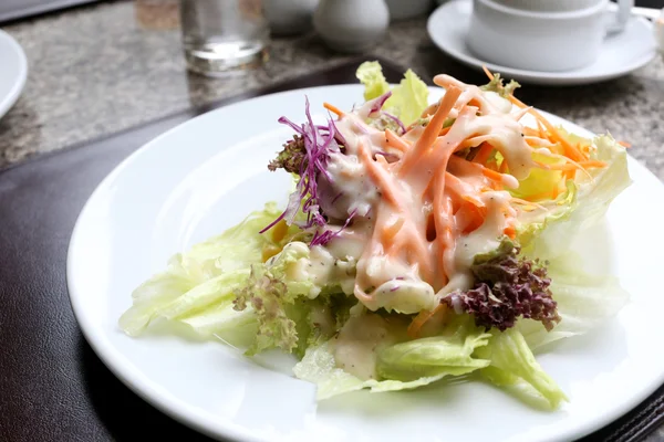 Mixed Vegetables Salad on white dish. — Stock Photo, Image