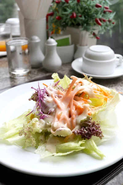 Mixed Vegetables Salad on white dish. — Stock Photo, Image