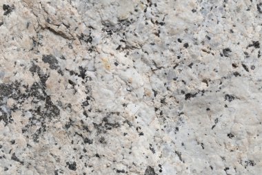 Doku içinde yıpranmış ve doğal yüzeylere sahip eski taş.