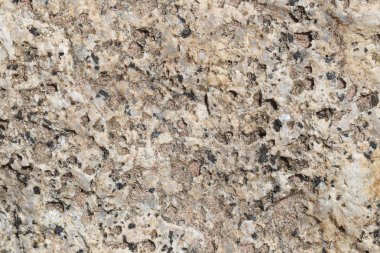 Doku içinde yıpranmış ve doğal yüzeylere sahip eski taş.