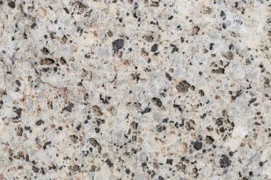 Doku içinde yıpranmış ve doğal yüzeylere sahip eski taş.