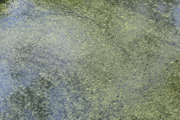 カナの抽象的な排水. — ストック写真